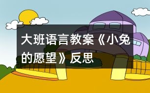 大班語言教案《小兔的愿望》反思