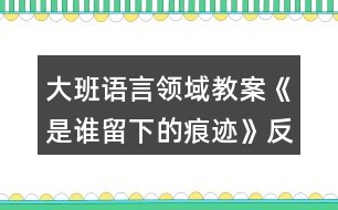 大班語言領(lǐng)域教案《是誰留下的痕跡》反思