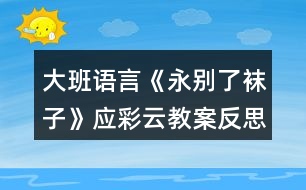 大班語言《永別了襪子》應(yīng)彩云教案反思