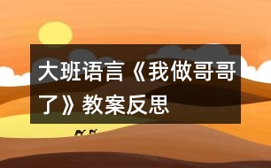 大班語(yǔ)言《我做哥哥了》教案反思