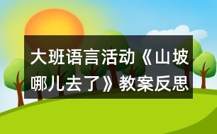 大班語(yǔ)言活動(dòng)《山坡哪兒去了》教案反思