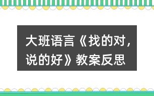 大班語言《找的對，說的好》教案反思