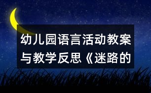 幼兒園語(yǔ)言活動(dòng)教案與教學(xué)反思《迷路的小鴨子》