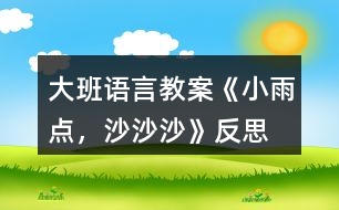 大班語(yǔ)言教案《小雨點(diǎn)，沙沙沙》反思