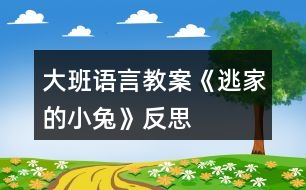 大班語言教案《逃家的小兔》反思