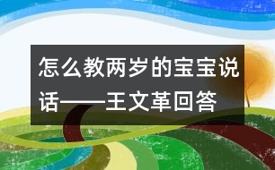 怎么教兩歲的寶寶說話――王文革回答