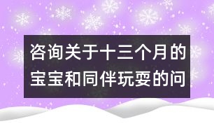 咨詢關(guān)于十三個月的寶寶和同伴玩耍的問題