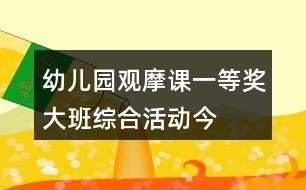 幼兒園觀摩課一等獎(jiǎng)大班綜合活動——今天我下廚教學(xué)設(shè)計(jì)、說課稿及專家點(diǎn)評