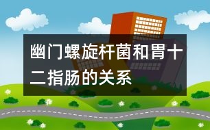 幽門螺旋桿菌和胃、十二指腸的關(guān)系