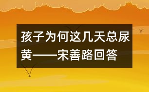 孩子為何這幾天總尿黃――宋善路回答