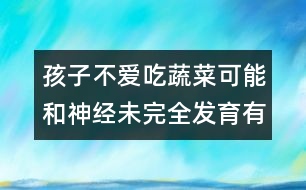 孩子不愛吃蔬菜可能和神經(jīng)未完全發(fā)育有關(guān)