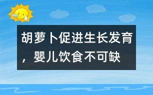 胡蘿卜促進(jìn)生長(zhǎng)發(fā)育，嬰兒飲食不可缺