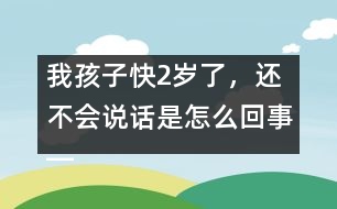 我孩子快2歲了，還不會說話是怎么回事――林茅回答