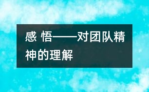 感 悟――對(duì)“團(tuán)隊(duì)精神”的理解