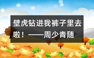 “壁虎”鉆進(jìn)我褲子里去啦！――周少青隨筆兩篇