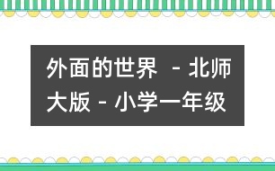 外面的世界  - 北師大版 - 小學(xué)一年級(jí)語(yǔ)文教案