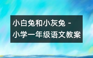 小白兔和小灰兔 - 小學(xué)一年級(jí)語(yǔ)文教案