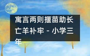 寓言兩則（揠苗助長(zhǎng) 亡羊補(bǔ)牢） - 小學(xué)三年級(jí)語文教案