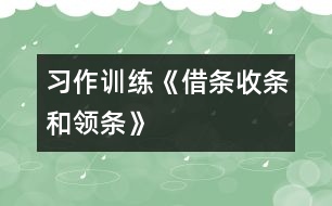 （習作訓練）《借條、收條和領(lǐng)條》