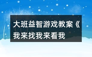 大班益智游戲教案《我來找、我來看、我來玩》