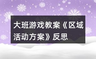 大班游戲教案《區(qū)域活動方案》反思