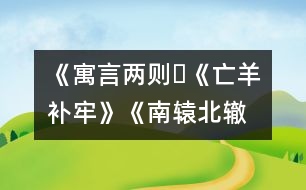 《寓言兩則?《亡羊補牢》、《南轅北轍》》教學設計,教案