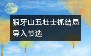 狼牙山五壯士抓結(jié)局導(dǎo)入（節(jié)選）