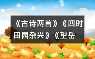 《古詩(shī)兩首》《四時(shí)田園雜興》、《望岳》教學(xué)設(shè)計(jì)之二