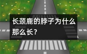 長(zhǎng)頸鹿的脖子為什么那么長(zhǎng)？