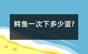 鱷魚一次下多少蛋?