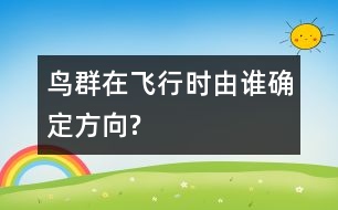 鳥群在飛行時(shí)由誰(shuí)確定方向?