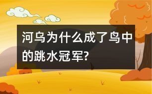 河烏為什么成了鳥(niǎo)中的“跳水冠軍”?