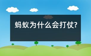 螞蟻為什么會(huì)打仗?