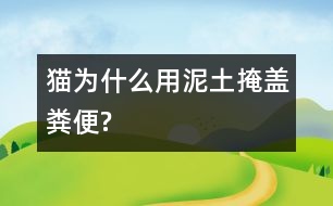 貓為什么用泥土掩蓋糞便?