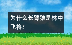 為什么長臂猿是“林中飛將”?