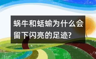 蝸牛和蛞蝓為什么會(huì)留下閃亮的足跡?