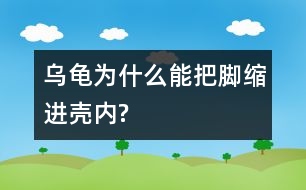 烏龜為什么能把腳縮進(jìn)殼內(nèi)?