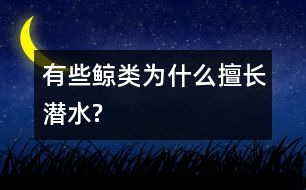 有些鯨類為什么擅長潛水?