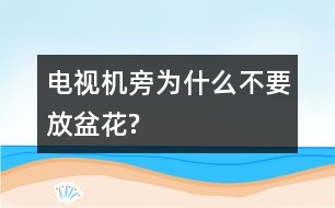 電視機旁為什么不要放盆花?