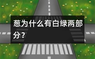 蔥為什么有白、綠兩部分？