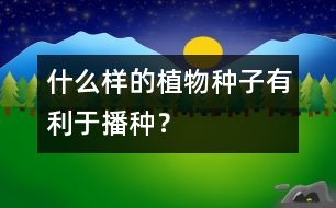 什么樣的植物種子有利于播種？