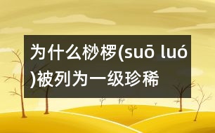 為什么桫欏(suō luó)被列為一級(jí)珍稀植物？