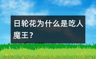 日輪花為什么是“吃人魔王”？