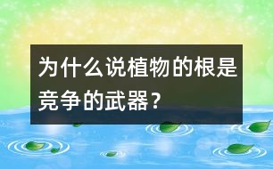 為什么說植物的根是競爭的武器？