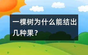 一棵樹為什么能結(jié)出幾種果？