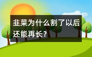 韭菜為什么割了以后還能再長(zhǎng)？