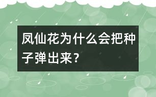 鳳仙花為什么會(huì)把種子彈出來？