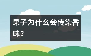 果子為什么會(huì)傳染香味？