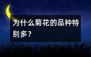 為什么菊花的品種特別多？