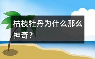 枯枝牡丹為什么那么神奇？